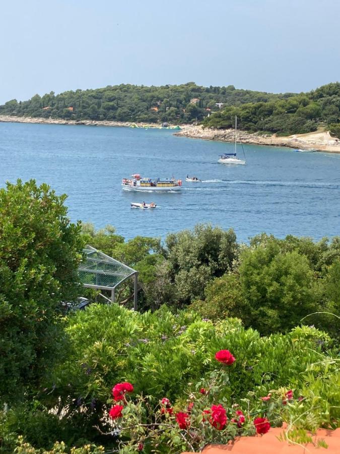 Goga Apartments Πούλα Εξωτερικό φωτογραφία